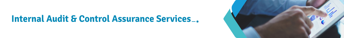 Internal Audit & Control Assurance Services